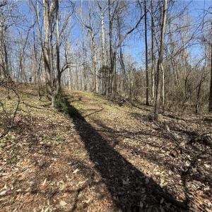 Photo #27 of 152 Paw Paw, Mocksville, NC 7.3 acres