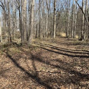 Photo #30 of 152 Paw Paw, Mocksville, NC 7.3 acres