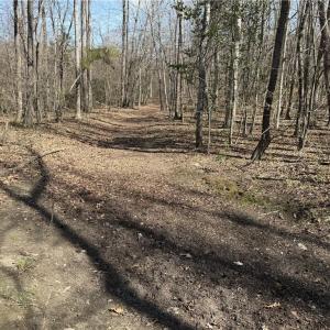 Photo #34 of 152 Paw Paw, Mocksville, NC 7.3 acres