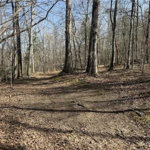 Photo #38 of 152 Paw Paw, Mocksville, NC 7.3 acres