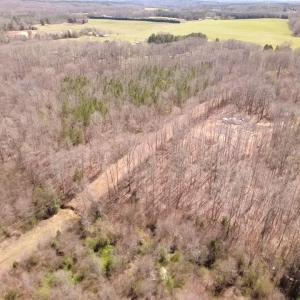 Photo #11 of 152 Paw Paw, Mocksville, NC 7.3 acres