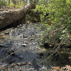 Photo #29 of 152 Paw Paw, Mocksville, NC 7.3 acres