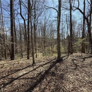 Photo #25 of 152 Paw Paw, Mocksville, NC 7.3 acres