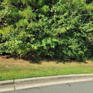 Photo #1 of 36 Bur oak, Pittsboro, NC 0.5 acres