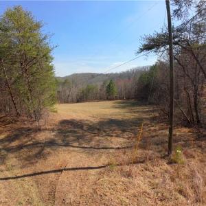 Photo #6 of 3331 NC Highway 66, Westfield, NC 13.0 acres