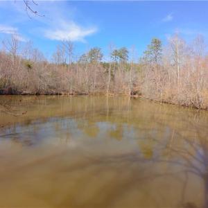 Photo #1 of 3331 NC Highway 66, Westfield, NC 13.0 acres