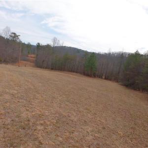 Photo #14 of 3331 NC Highway 66, Westfield, NC 13.0 acres