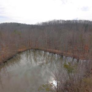 Photo #15 of 3331 NC Highway 66, Westfield, NC 13.0 acres