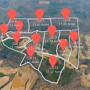 Photo #21 of 3331 NC Highway 66, Westfield, NC 13.0 acres