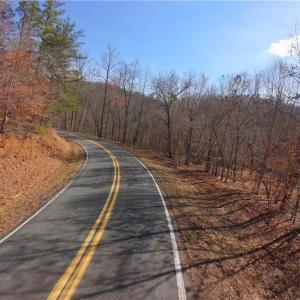 Photo #20 of 3331 NC Highway 66, Westfield, NC 13.0 acres