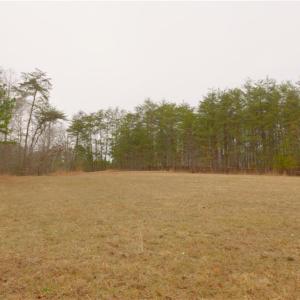 Photo #9 of 3331 NC Highway 66, Westfield, NC 13.0 acres