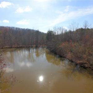 Photo #10 of 3331 NC Highway 66, Westfield, NC 13.0 acres