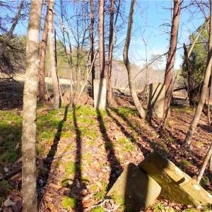 Photo #18 of 3331 NC Highway 66, Westfield, NC 13.0 acres