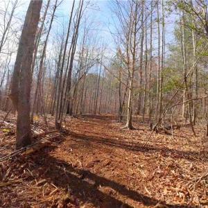 Photo #11 of 3331 NC Highway 66, Westfield, NC 13.0 acres