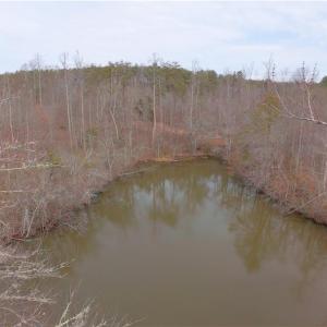 Photo #19 of 3331 NC Highway 66, Westfield, NC 13.0 acres