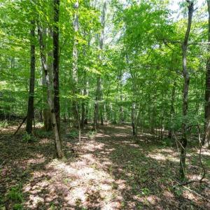 Photo #6 of 6910 Long Meadow, Whitsett, NC 20.6 acres