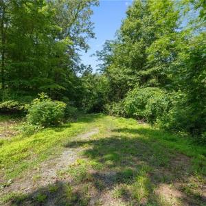 Photo #3 of 6910 Long Meadow, Whitsett, NC 20.6 acres