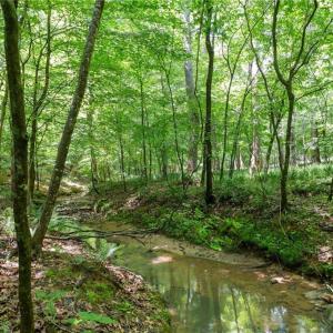 Photo #9 of 6910 Long Meadow, Whitsett, NC 20.6 acres