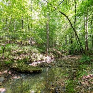 Photo #9 of 6910 Long Meadow, Whitsett, NC 20.6 acres