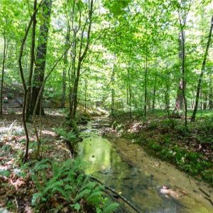 Photo #10 of 6910 Long Meadow, Whitsett, NC 20.6 acres