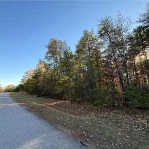 Photo #13 of 173 Lake View Pass, Rockingham, NC 3.7 acres