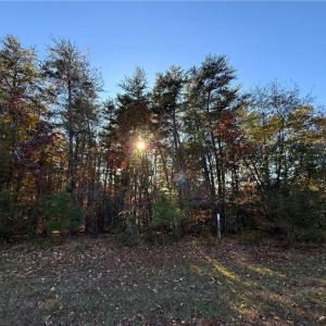 Photo #12 of 173 Lake View Pass, Rockingham, NC 3.7 acres