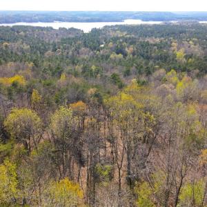 Photo #7 of 173 Lake View Pass, Rockingham, NC 3.7 acres