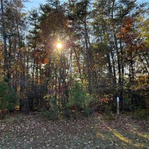 Photo #11 of 173 Lake View Pass, Rockingham, NC 3.7 acres