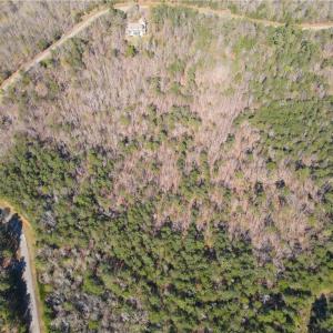 Photo #8 of 173 Lake View Pass, Rockingham, NC 3.7 acres