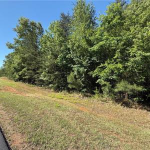 Photo #6 of 173 Lake View Pass, Rockingham, NC 3.7 acres