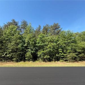 Photo #7 of 173 Lake View Pass, Rockingham, NC 3.7 acres