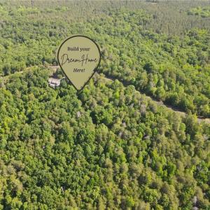 Photo #3 of 173 Lake View Pass, Rockingham, NC 3.7 acres