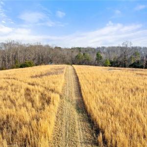 Photo #3 of Dalton, Lewisville, NC 15.0 acres