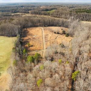 Photo #5 of Dalton, Lewisville, NC 15.0 acres