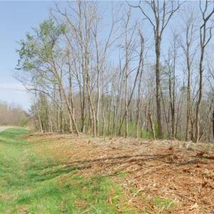Photo #6 of 1583 Seven Island, Danbury, NC 37.0 acres