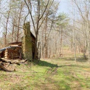 Photo #13 of 1583 Seven Island, Danbury, NC 37.0 acres