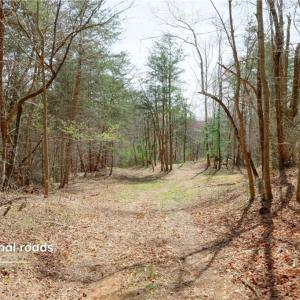 Photo #7 of 1583 Seven Island, Danbury, NC 37.0 acres