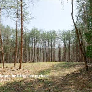 Photo #1 of 1583 Seven Island, Danbury, NC 37.0 acres