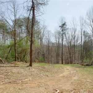 Photo #9 of 1583 Seven Island, Danbury, NC 37.0 acres