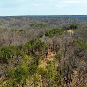 Photo #34 of 1583 Seven Island, Danbury, NC 37.0 acres