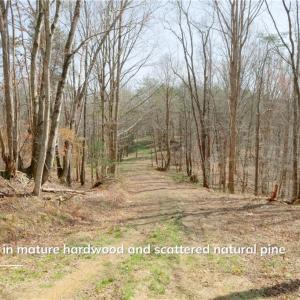 Photo #10 of 1583 Seven Island, Danbury, NC 37.0 acres