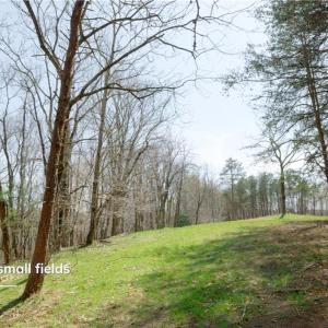 Photo #14 of 1583 Seven Island, Danbury, NC 37.0 acres