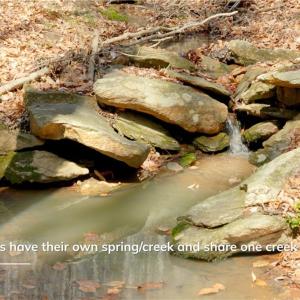 Photo #18 of 1583 Seven Island, Danbury, NC 37.0 acres