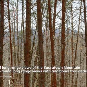 Photo #15 of 1583 Seven Island, Danbury, NC 37.0 acres