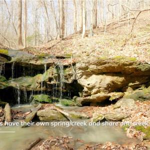 Photo #19 of 1583 Seven Island, Danbury, NC 37.0 acres