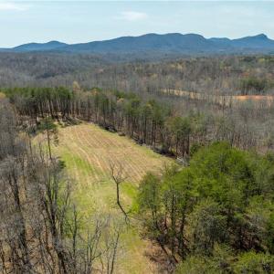 Photo #35 of 1583 Seven Island, Danbury, NC 37.0 acres