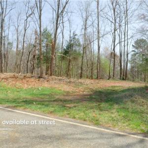 Photo #4 of 1583 Seven Island, Danbury, NC 37.0 acres