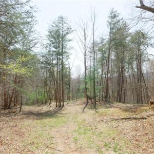 Photo #8 of 1583 Seven Island, Danbury, NC 37.0 acres