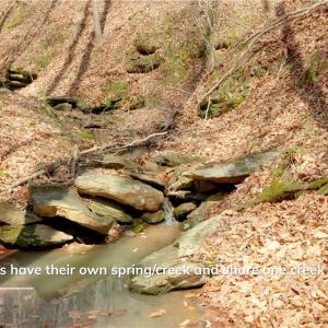Photo #21 of 1583 Seven Island, Danbury, NC 37.0 acres