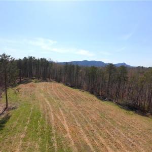 Photo #2 of 1583 Seven Island, Danbury, NC 37.0 acres